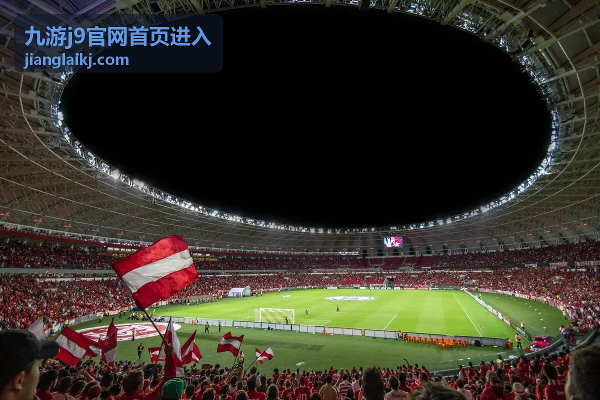 九游j9账号密码填写与登录操作说明配图